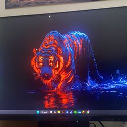 1080p monitor 165hz