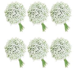 Baby's Breath