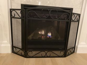 Black iron fireplace screen