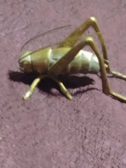 Mid-Century Brass Cricket