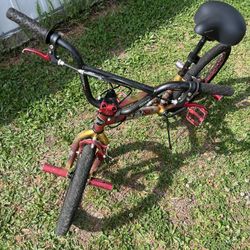 Bicycle 20 