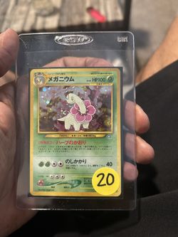 Japanese Magnesium Holo