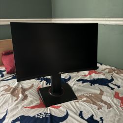 Asus Curved Monitor 