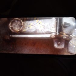 Esun gato Grande Locanvio Por Una Makina De Cortar Jardin