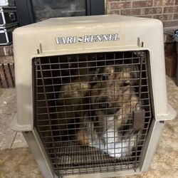 VARI KENNEL Dog Crate Pet Carrier