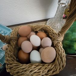 Fresh EGGS