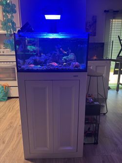 Innovative marine 25