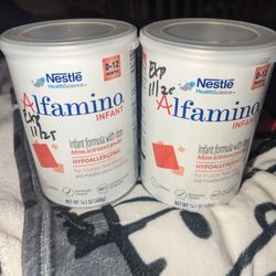 Infant Formula