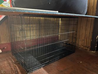 Dog Cage