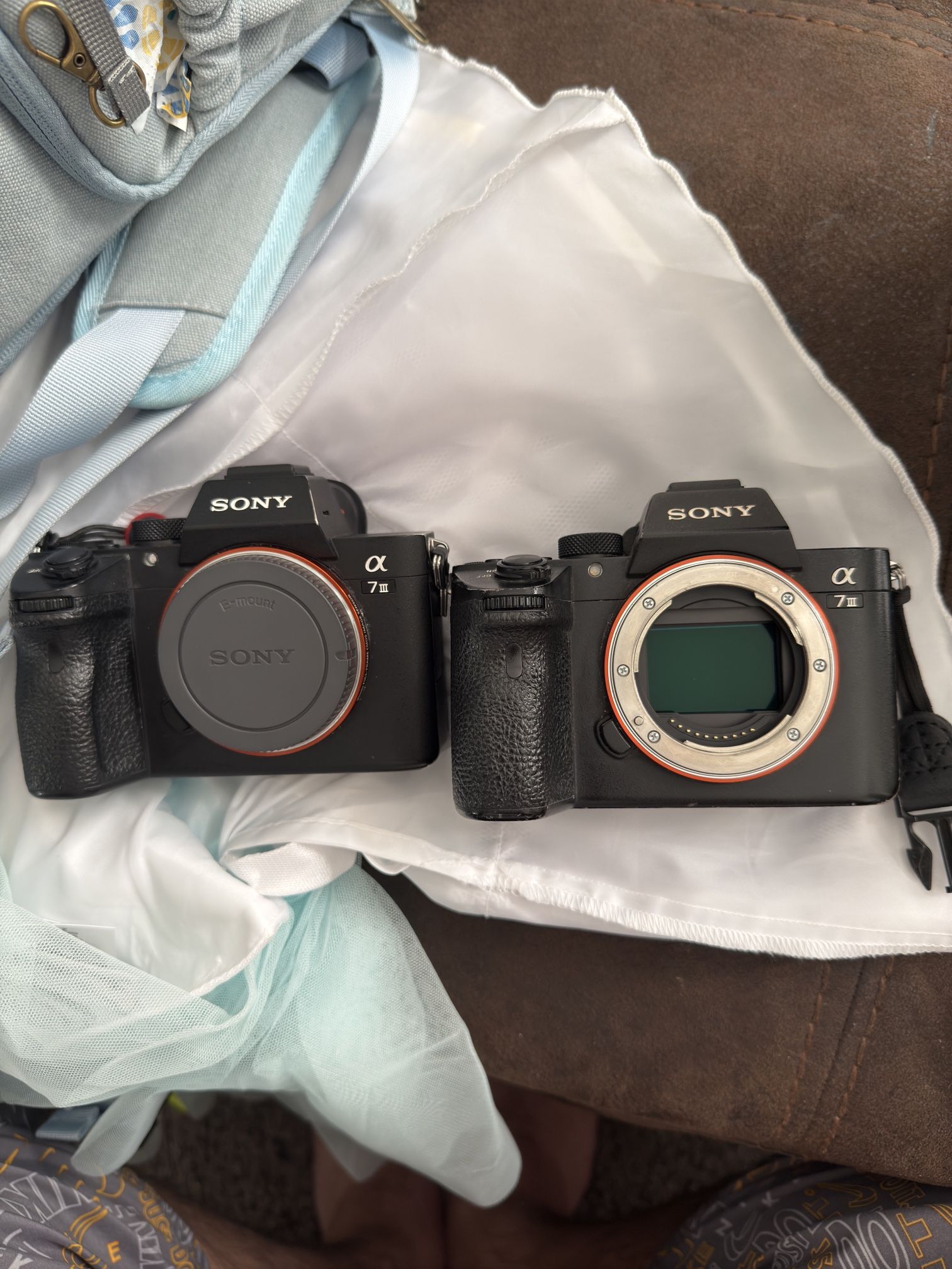Sony A7iii $1,800 for both!