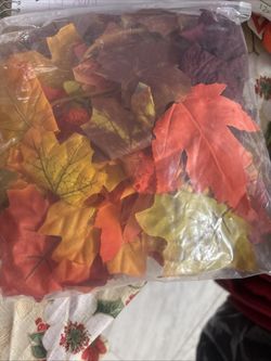 Bag If Artificial Autumn And Maple Leaves
