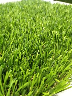 Artificial Grass
