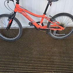 Giant Mountain Bike (Youth)