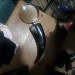 Buffalo Horn Magnifying Glass