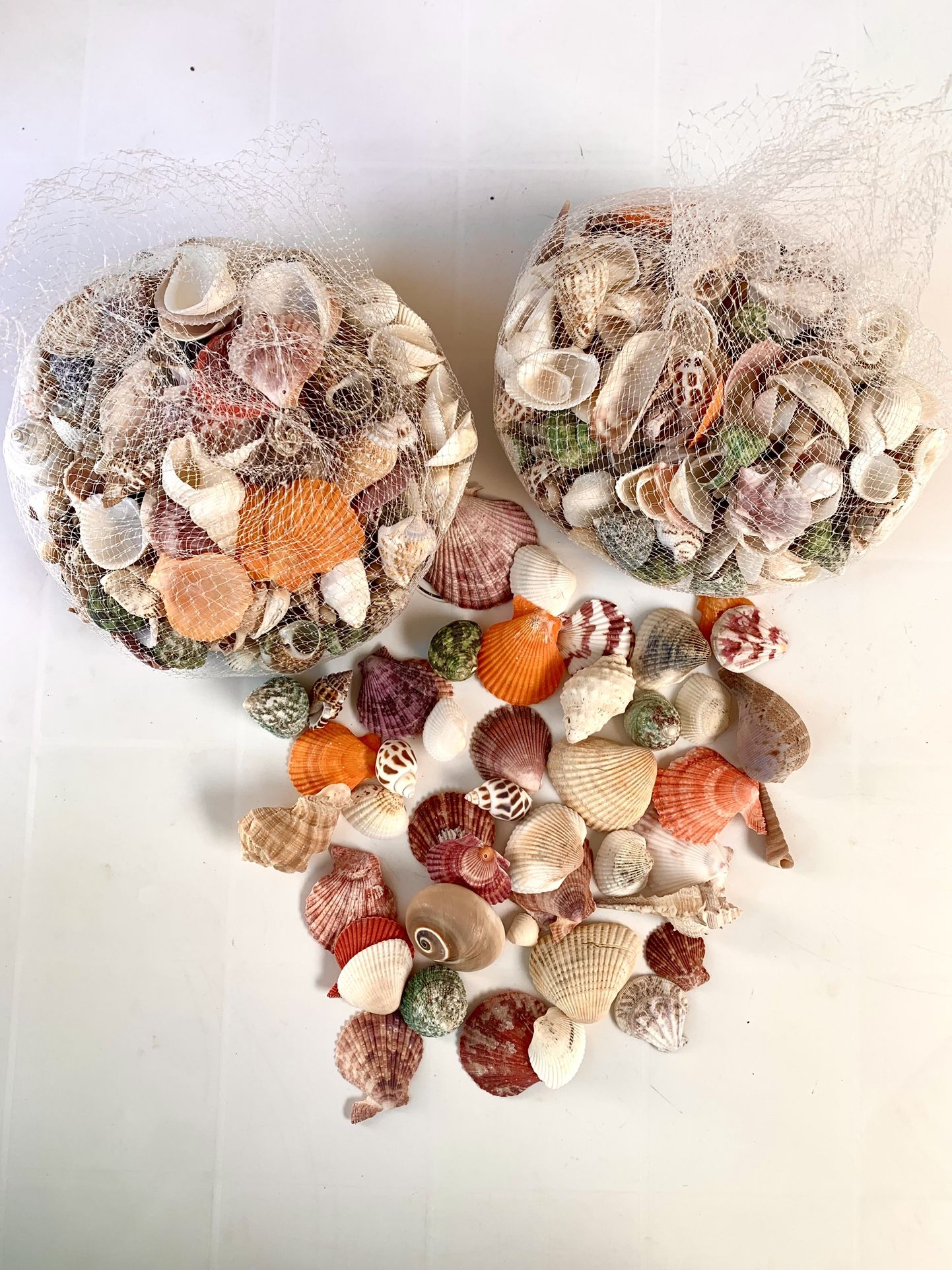 Seashells (2 Bags. $5 Each)