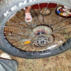 29 Inch Wheels 