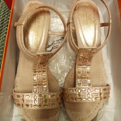 Women Elegant Shoes.