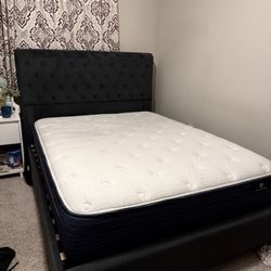 Black Velvet Upholstered Platform Bed | Includes Mattress 