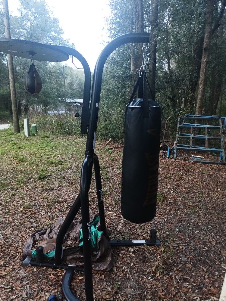 Everlast Punching Bag