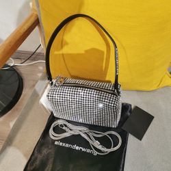 Alexander Wang heiress pouch in crystal mesh