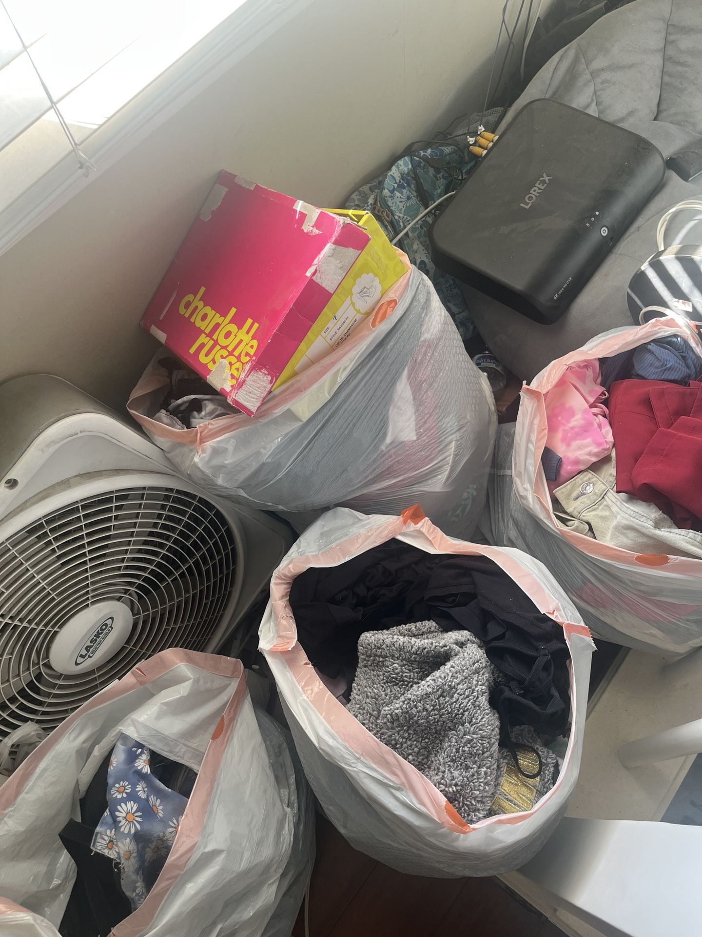 Free Clothes (NEED GONE ASAP)