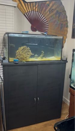 Mantis Shrimp tank