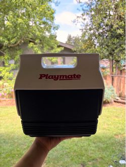 mini igloo cooler