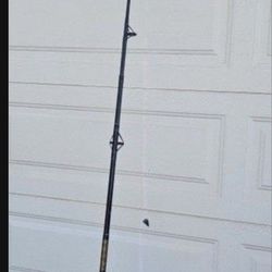 Fishing Rod with Full Kit
