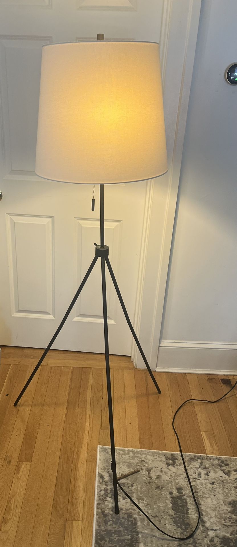Cozy Mid Century Floor Lamp