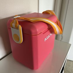 Igloo Ice Chest 