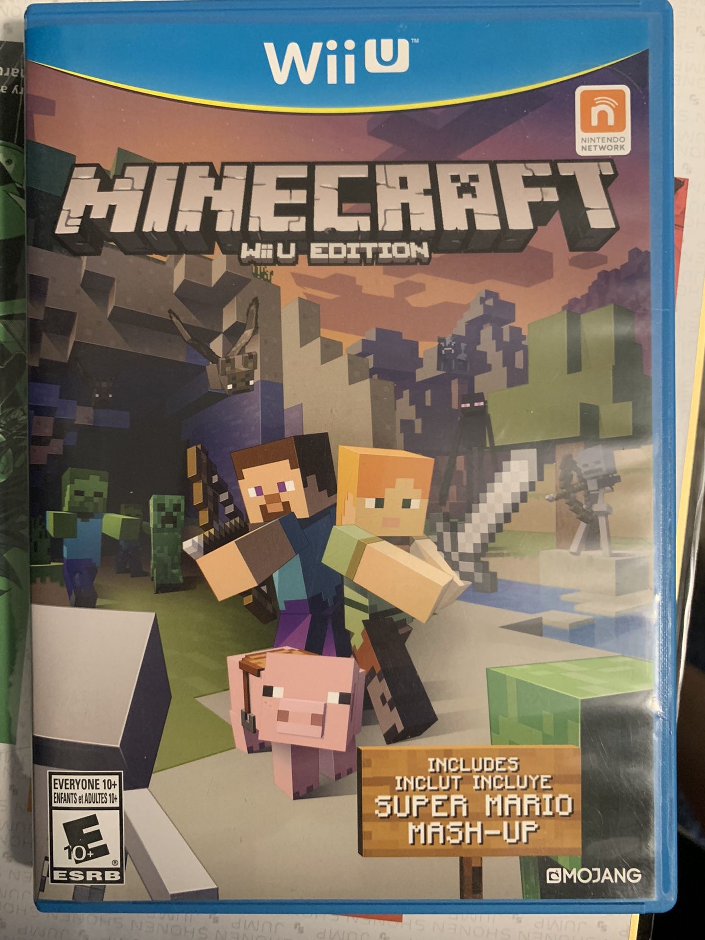 Minecraft Wii U Edition