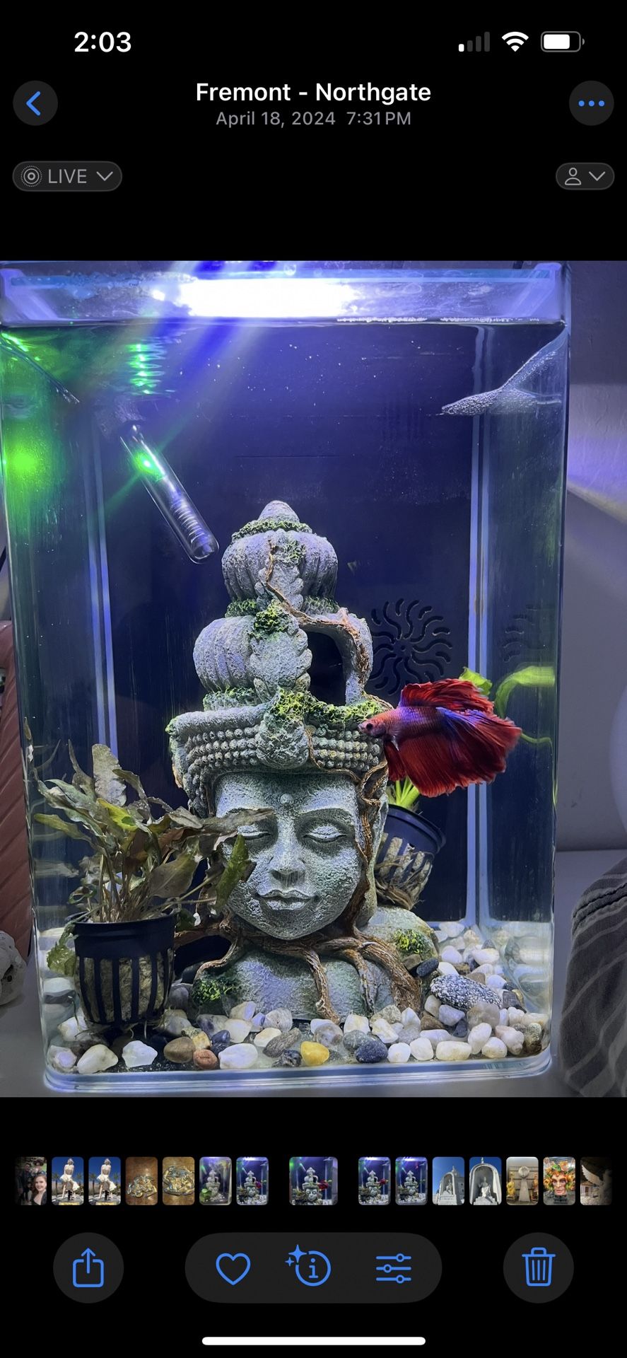Marine Land 5 Gallon Fish Tank