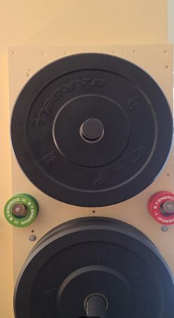 Four 10lb Olympic Rubber Coated Weights