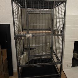 Bird Cage - New