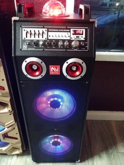 Dual 12 Inch Speaker