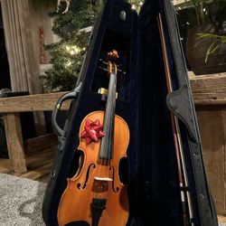 Carlo Robelli Viola