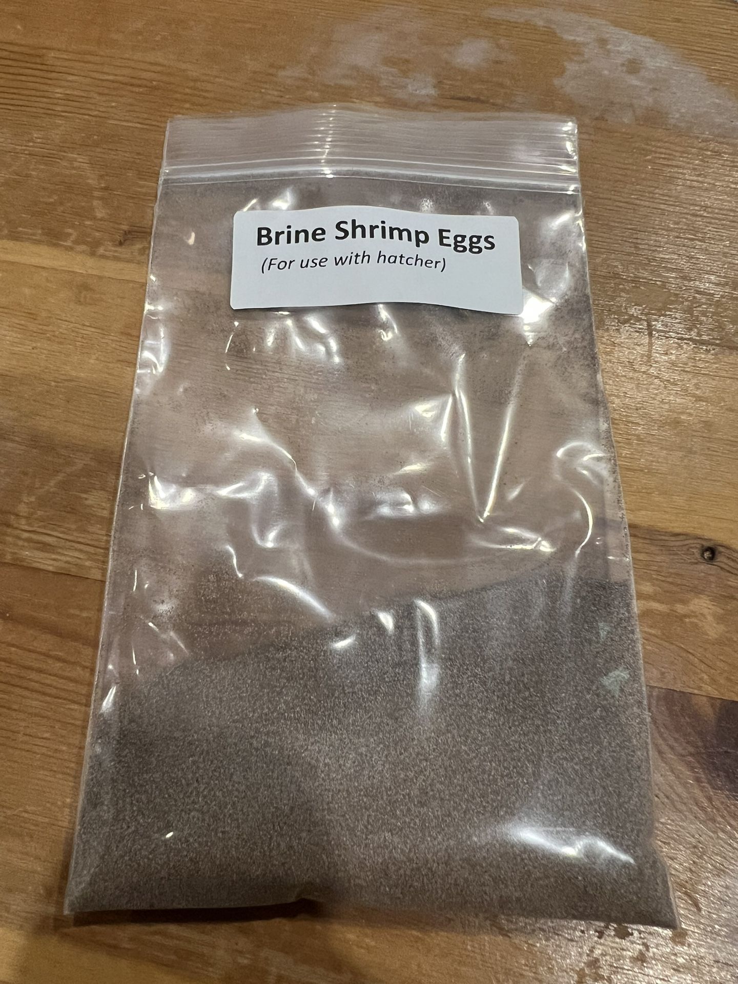 Brine Shrimp Eggs