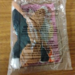 This Is Chip The Cat In The Bag The Real Deal