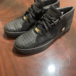 LeBron Nikes Low Top