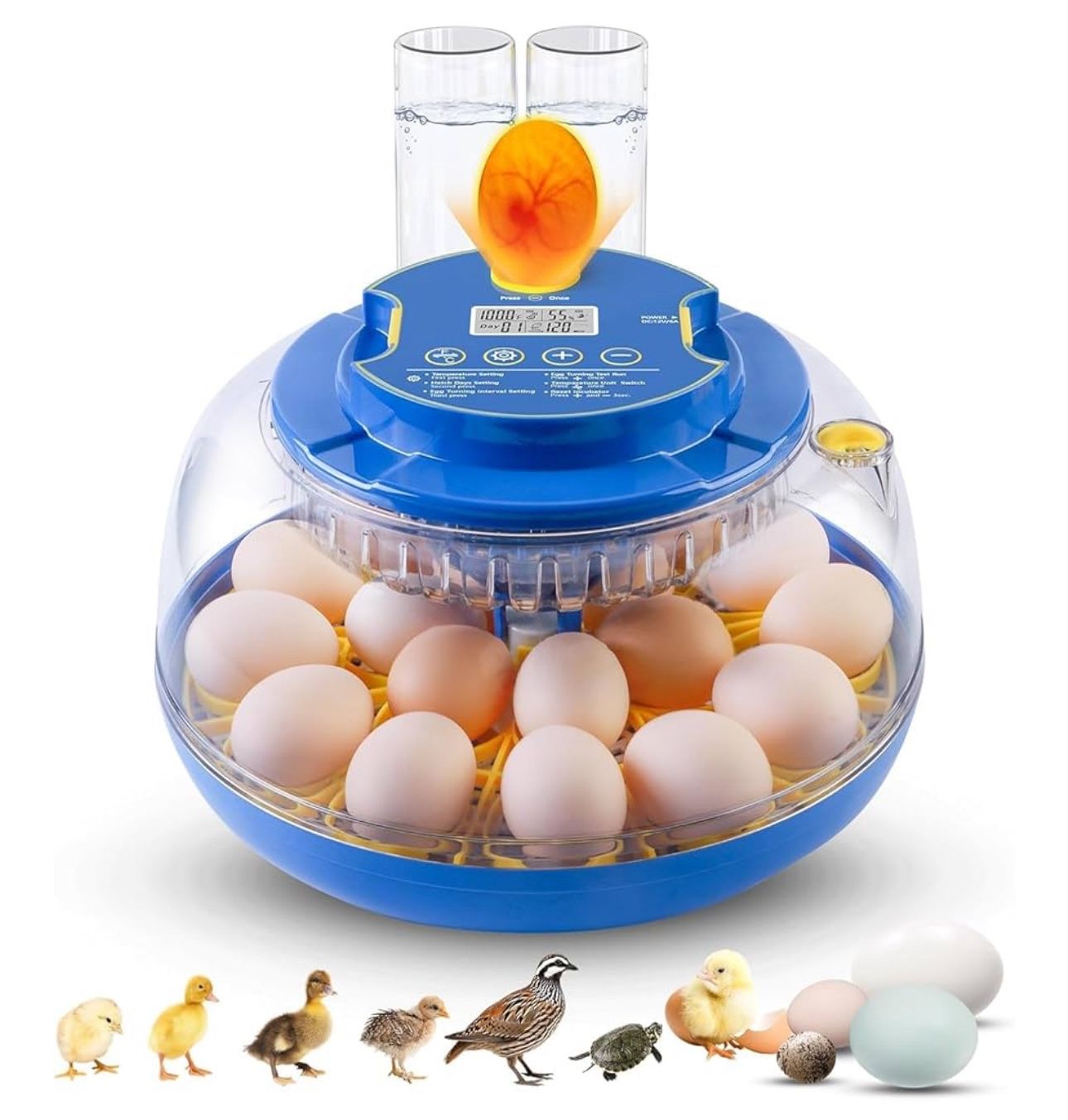 Egg Incubator