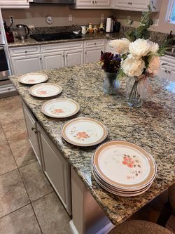 Vintage Dinner Plates