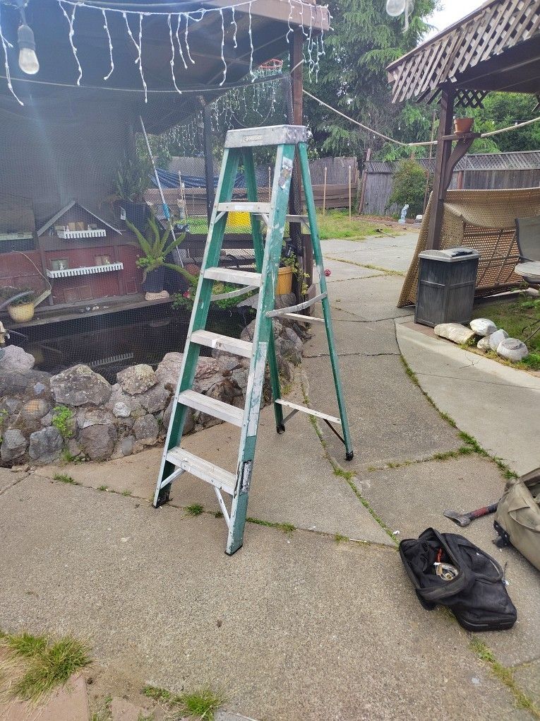 6 Ft Husky Fiberglass Ladder