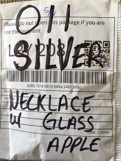 Necklace Unclaimed Internet Purchase #011