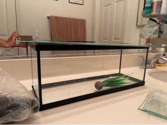 3 gallon tank