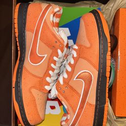 Orange lobster special box size9.5