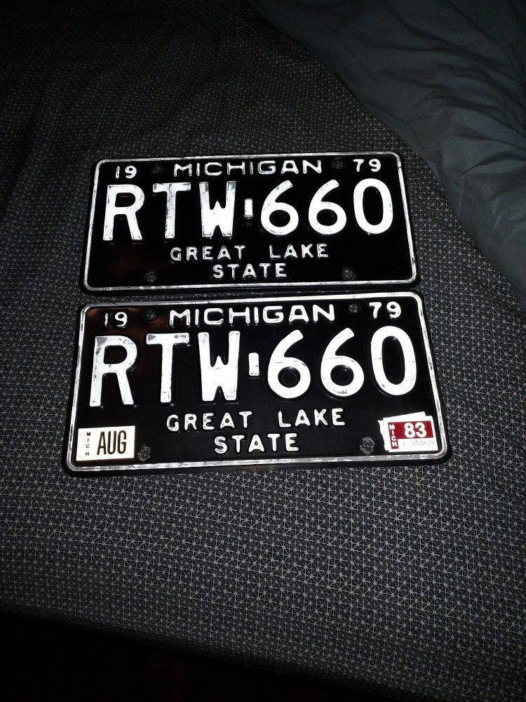 Amazing Condition 1979 Michigan License Plate RTW-660