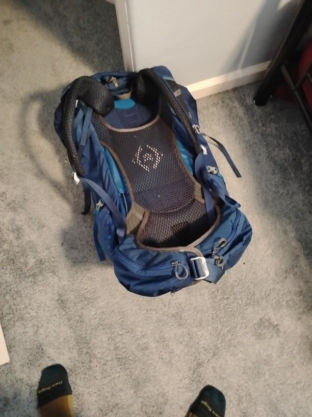 Gregory 65L Backpack