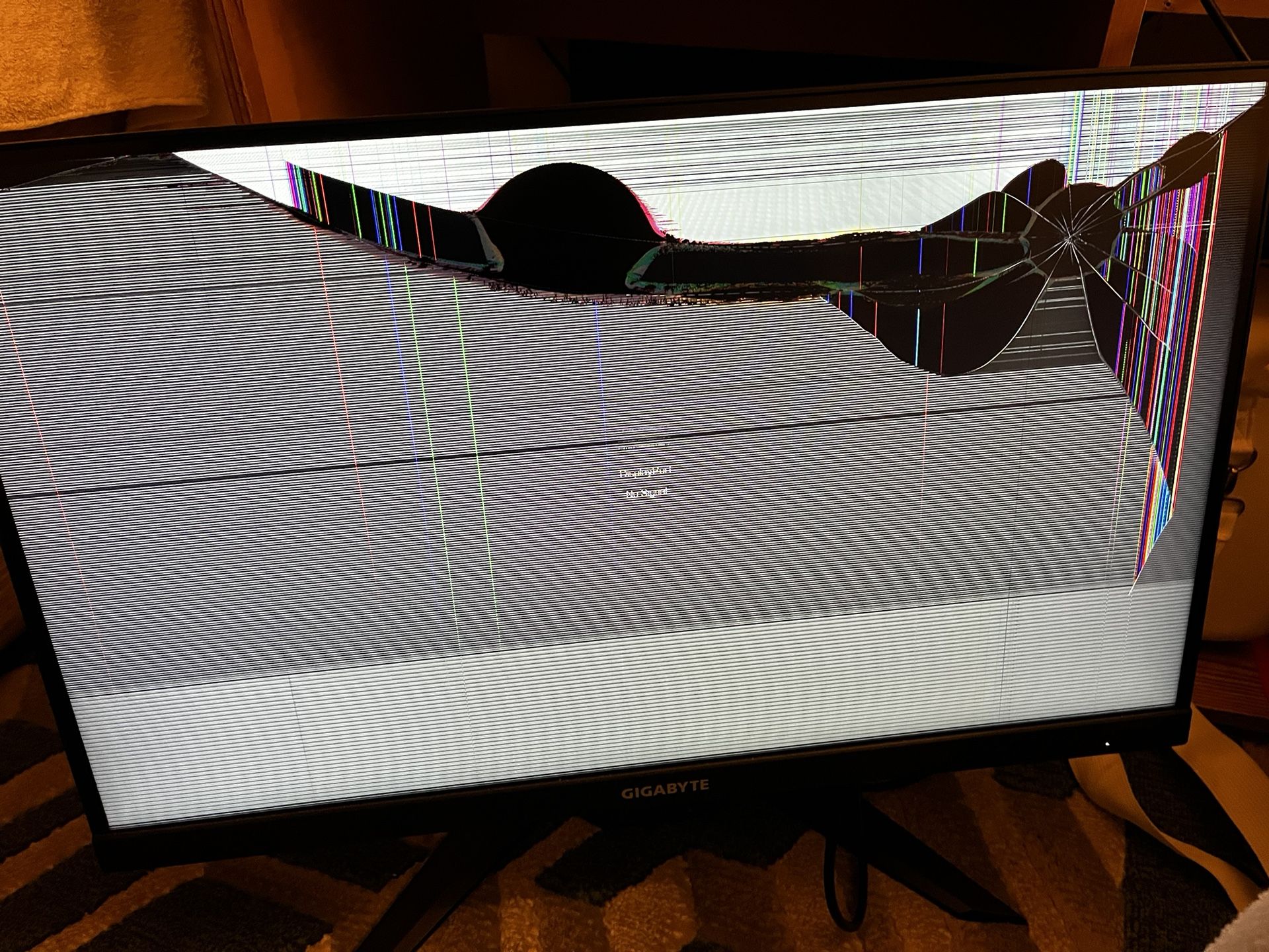 Gaming Monitor