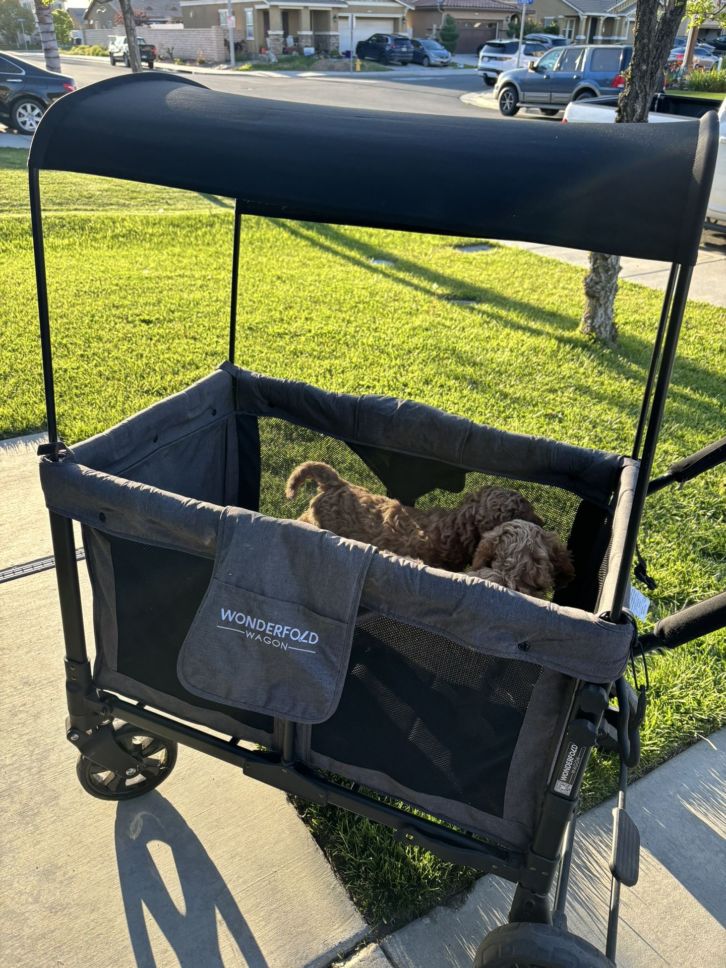 Dog Stroller Wagon Puppy