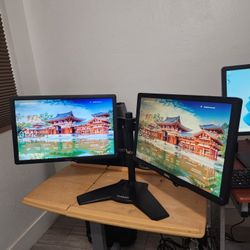 Dual Dell P1913b LED LCD Monitor- 19" 
VGA and display port. 
Nothing wrong 